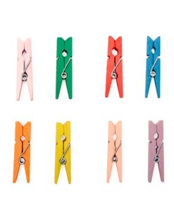 Mini Rainbow Clothespins